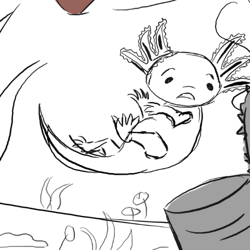 Sneak Peek - boken