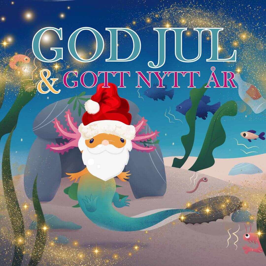 God Jul och året som gått.